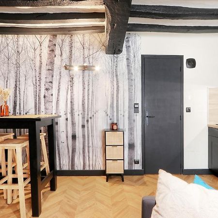 Le Moon, Bel Appartement Pres Du Parc Du Thabor Рен Екстериор снимка
