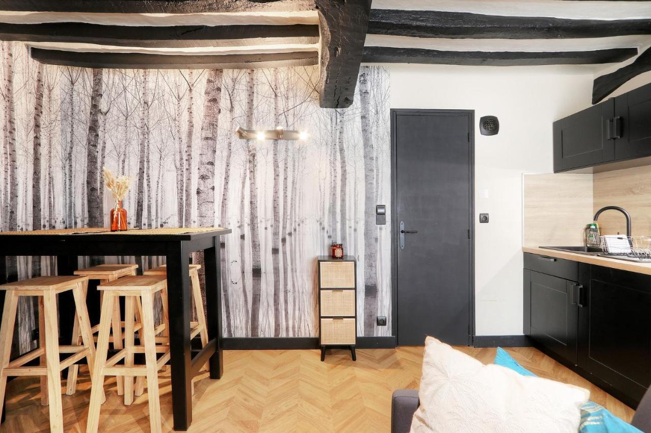 Le Moon, Bel Appartement Pres Du Parc Du Thabor Рен Екстериор снимка
